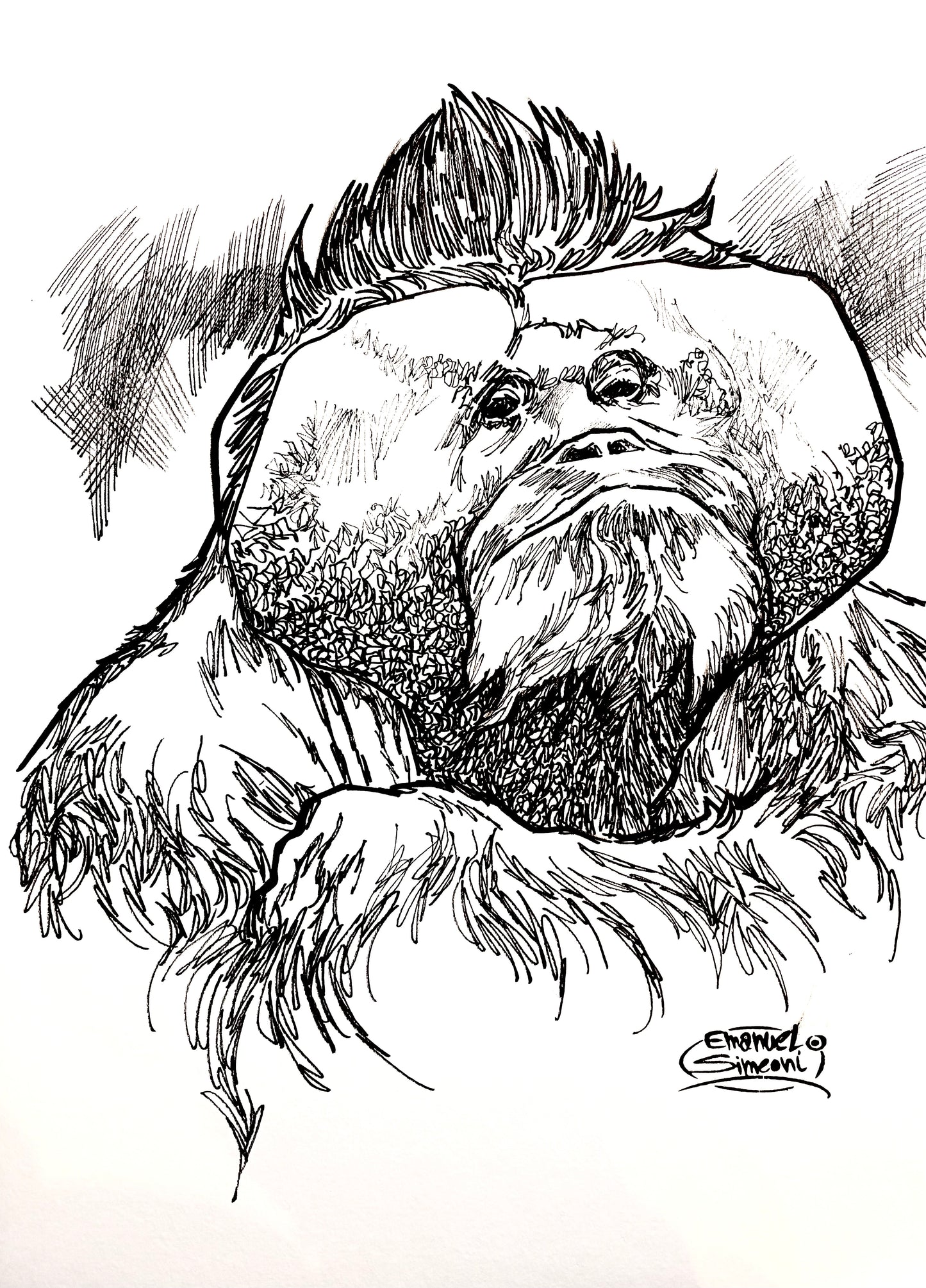 Orango - Opera d'Arte originale di Emanuel Simeoni
