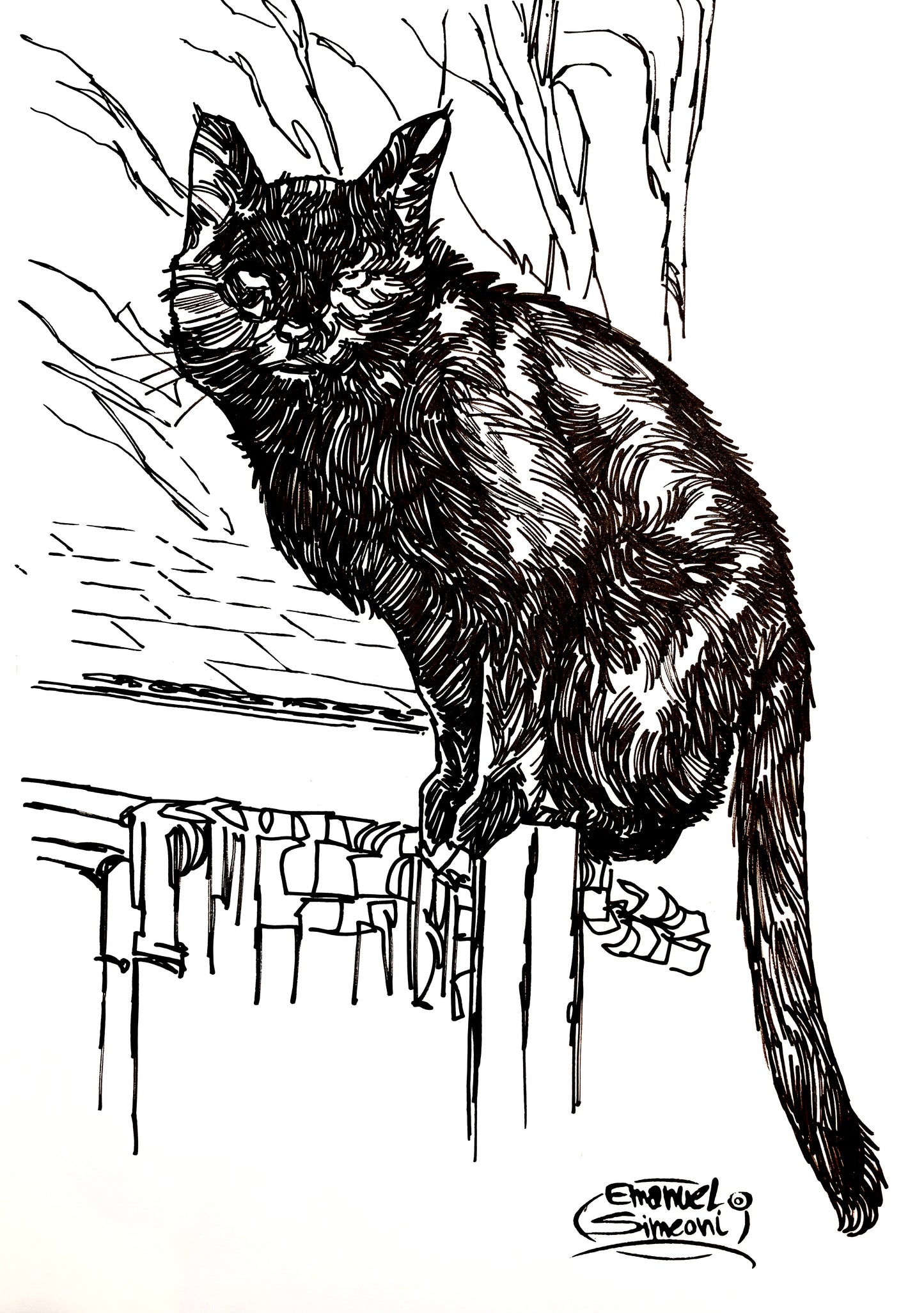 Gatto - Opera d'Arte originale di Emanuel Simeoni