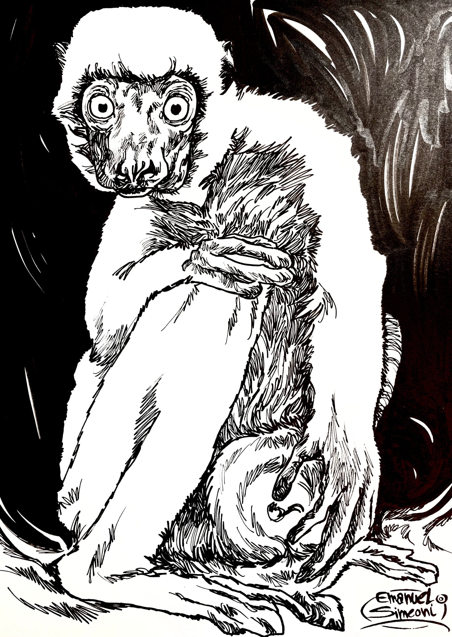 Sifaka - Opera d'Arte originale di Emanuel Simeoni