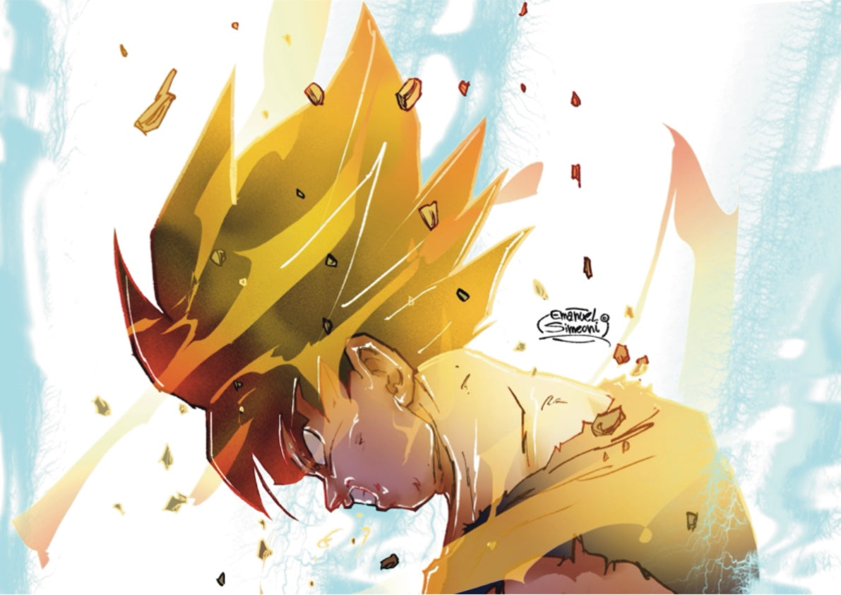 Dragon Ball - Collezione Esclusiva by Emanuel Simeoni