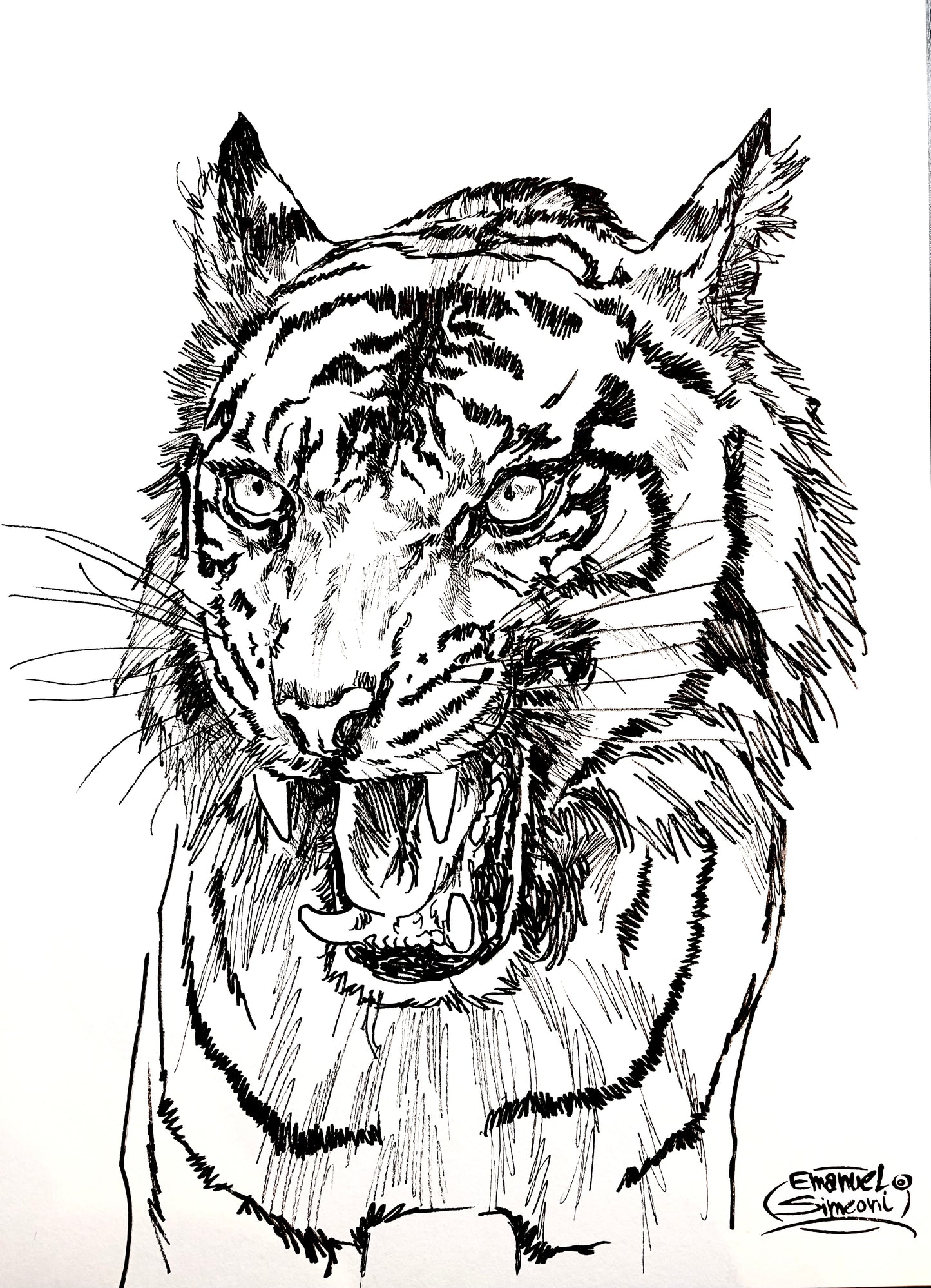 Tigre - Opera d'Arte originale di Emanuel Simeoni