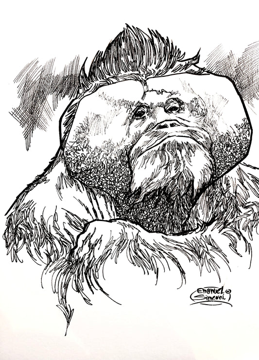 Orango - Opera d'Arte originale di Emanuel Simeoni