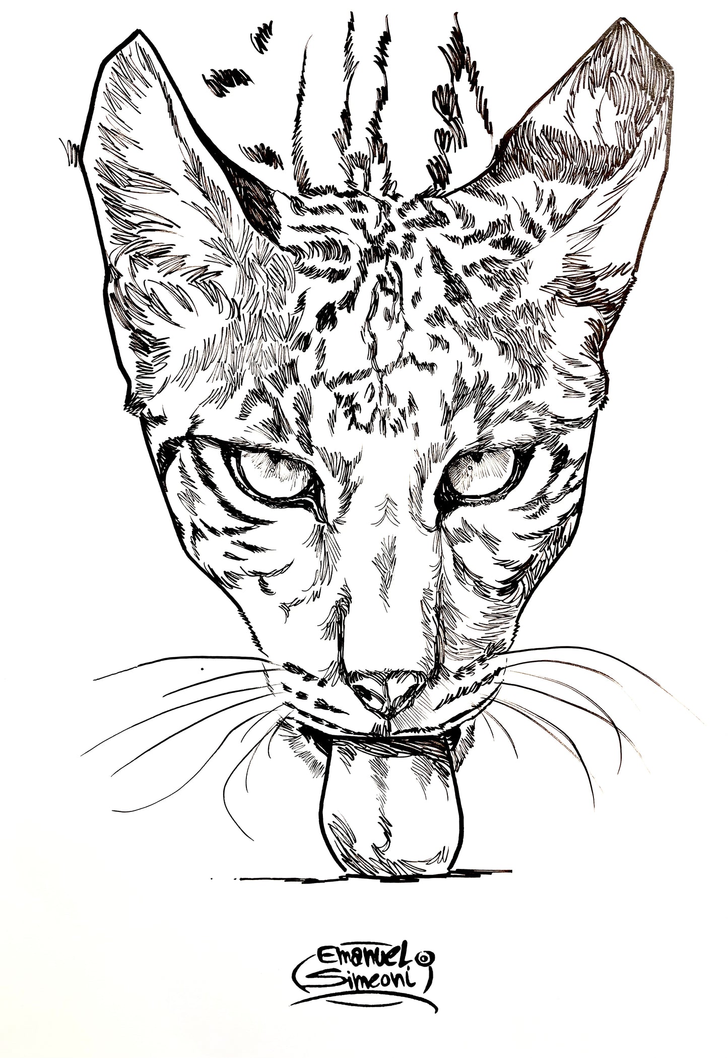 Leopardo Nebuloso - Opera d'Arte originale di Emanuel Simeoni