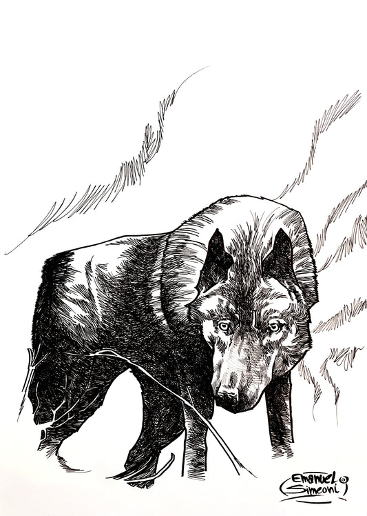 Lupo - Opera d'Arte originale di Emanuel Simeoni