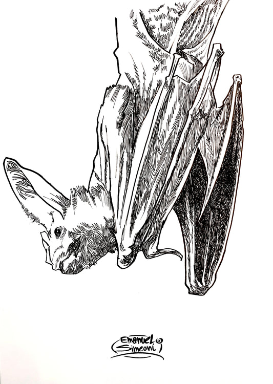 Pipistrello - Opera d'Arte originale di Emanuel Simeoni