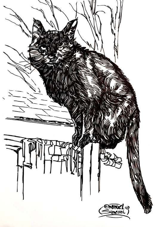 Gatto - Opera d'Arte originale di Emanuel Simeoni
