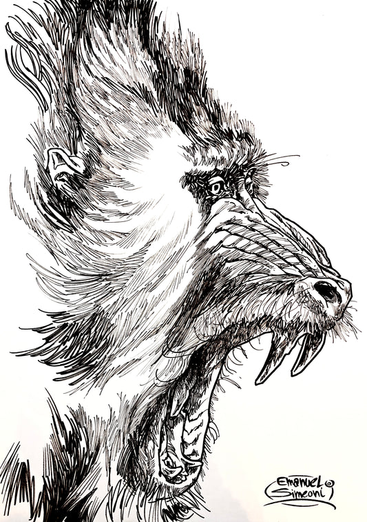 Mandrillo - Opera d'Arte originale di Emanuel Simeoni