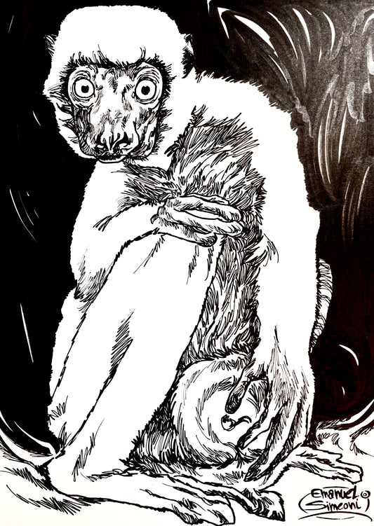 Sifaka - Opera d'Arte originale di Emanuel Simeoni