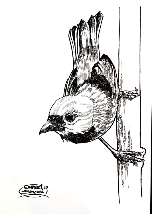 Passerotto - Opera d'Arte originale di Emanuel Simeoni